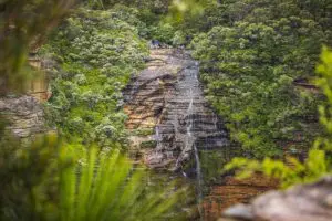 Wentworth Falls with Greenery in the Blue Mountains