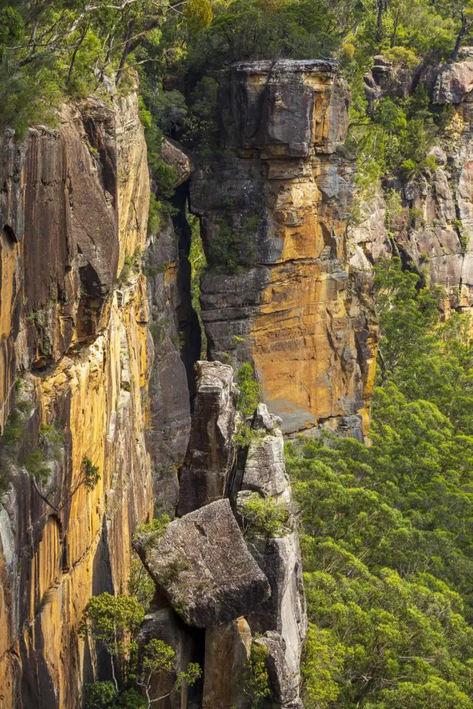Morewton National Park Sandstone Portrait Image