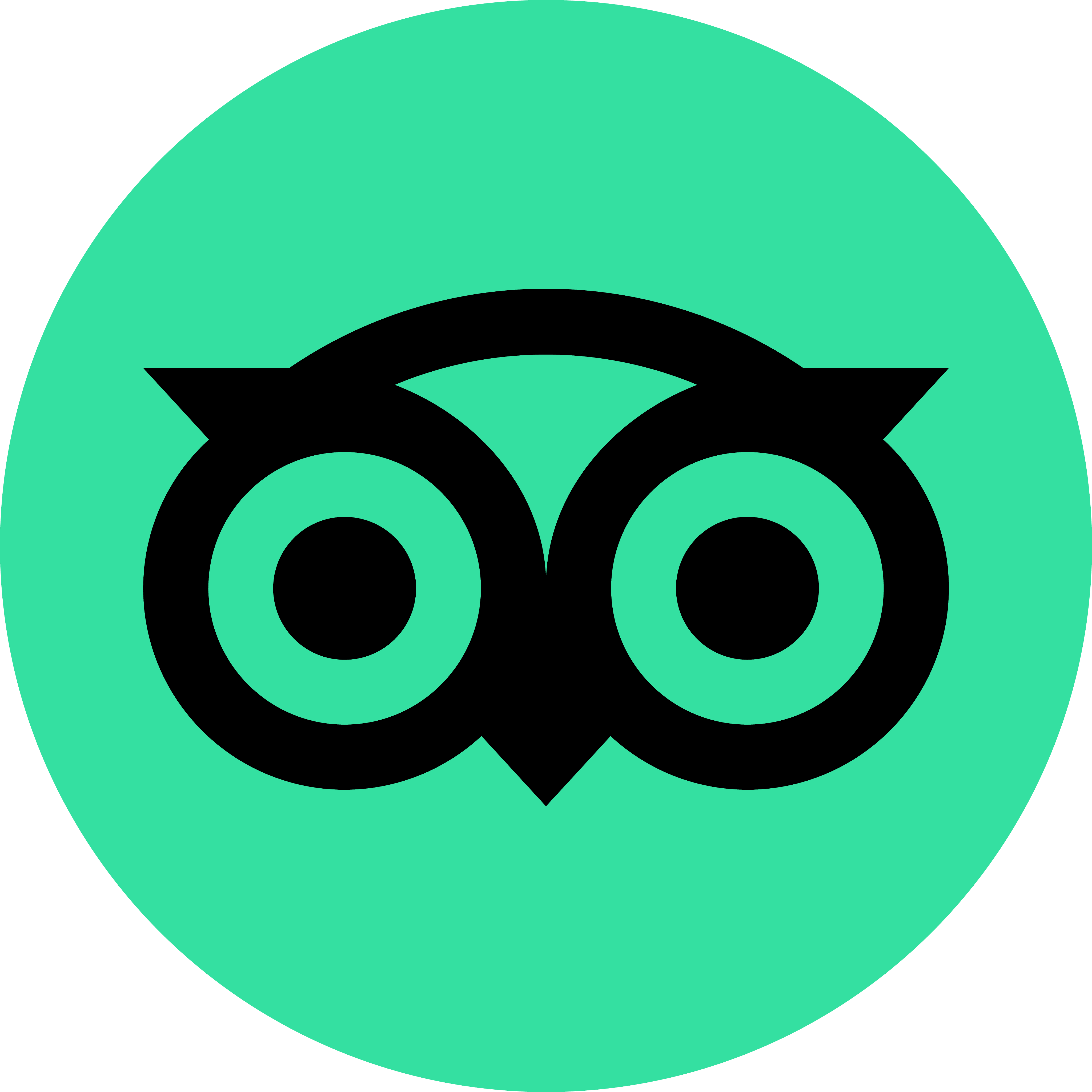 trip advisor logo