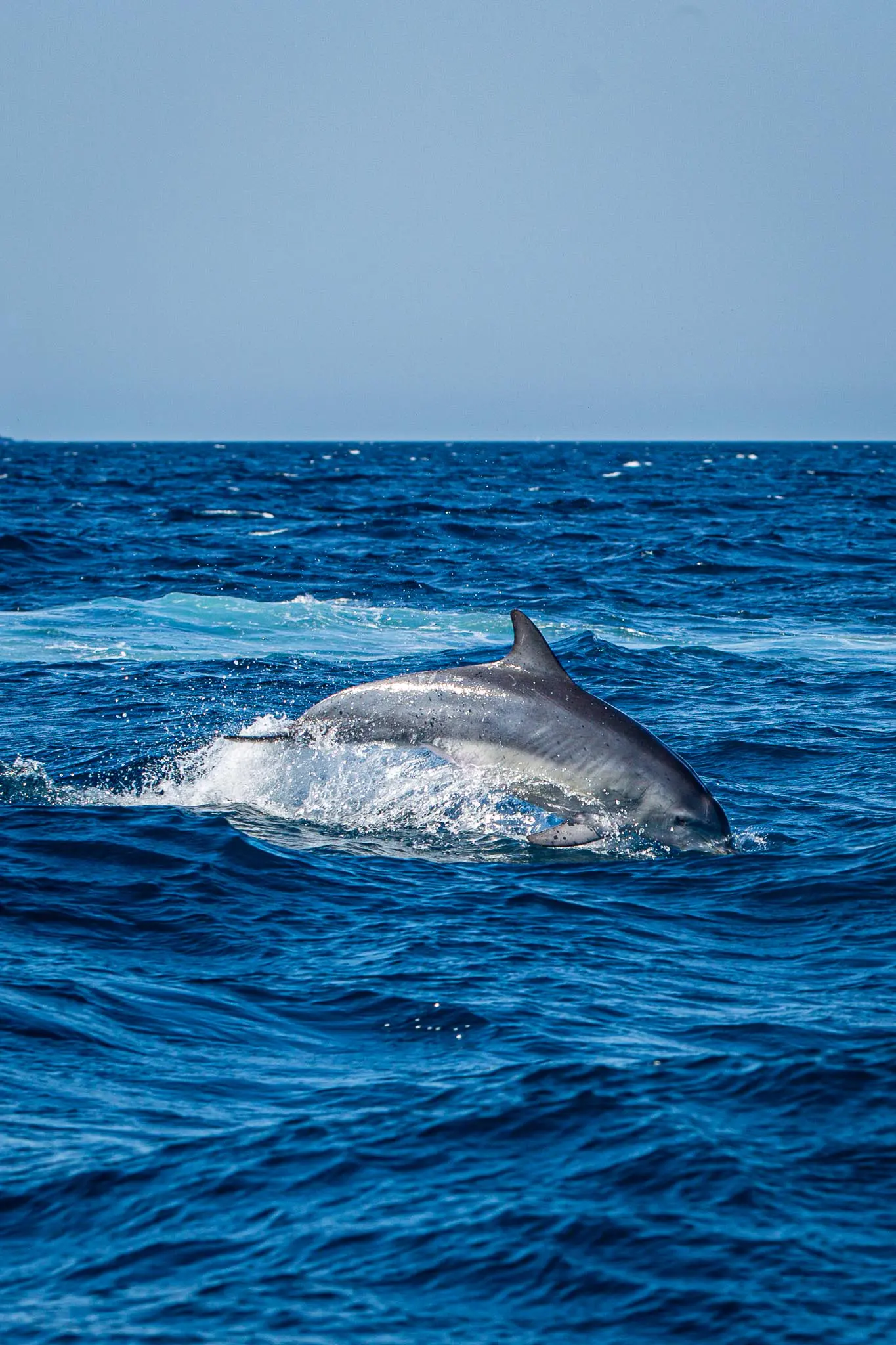 Private Jervis Bay Tour