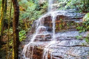 The cascading Witches Leap Falls, a secluded waterfall hidden deep within the Katoomba rainforest.