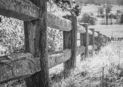 Retford Park Fence