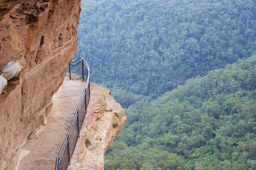 Panoramic views of the Jamison Valley from Jamison Lookout at Wentworth Falls, Blue Mountains.